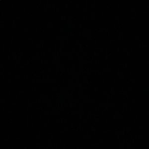 Meet your Posher, Alexia